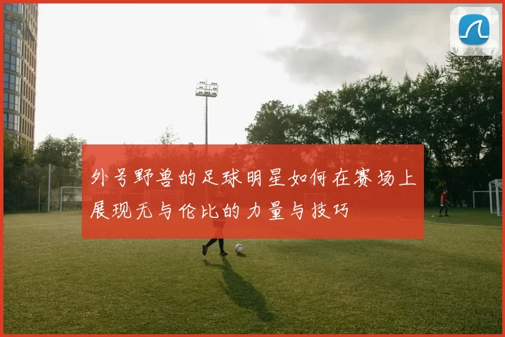 外号野兽的足球明星如何在赛场上展现无与伦比的力量与技巧