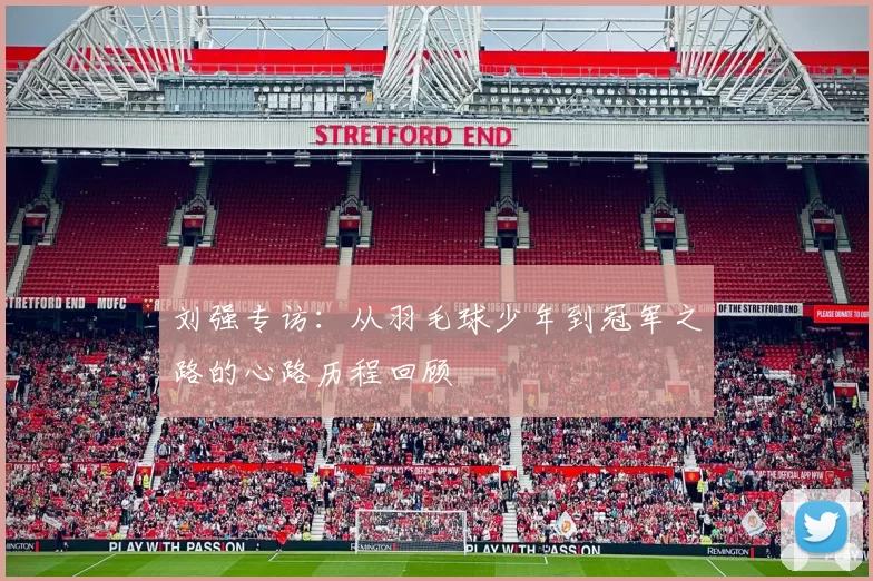 刘强专访：从羽毛球少年到冠军之路的心路历程回顾