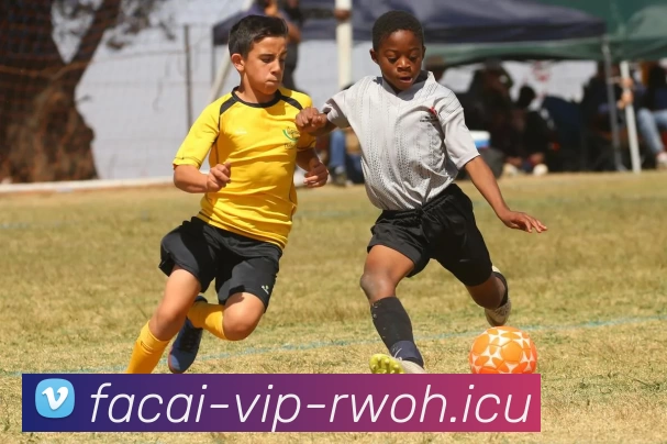 星空体育服务体系