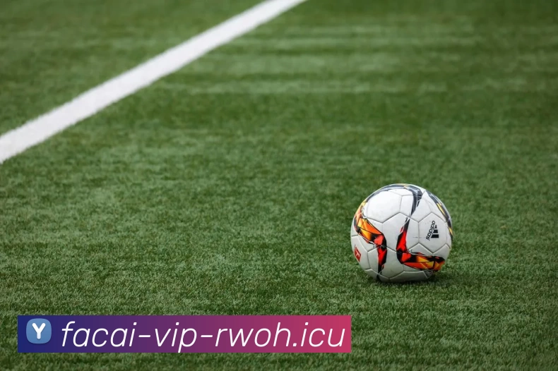 星空体育APP 体育赛事宣传图